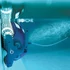 Dolphin M400 medence robot porszívó